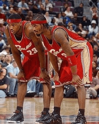 将稳步回升 将稳步回升