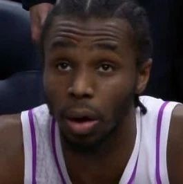 仓库与研究 仓库与研究